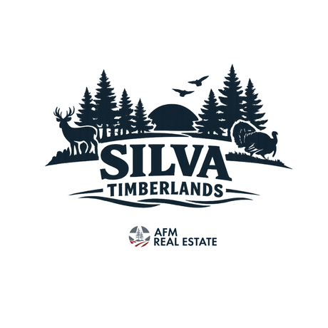 Silva Timberlands