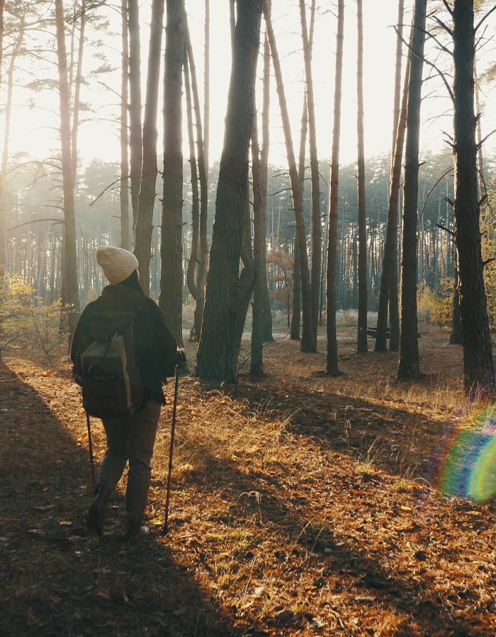Forest Inventory