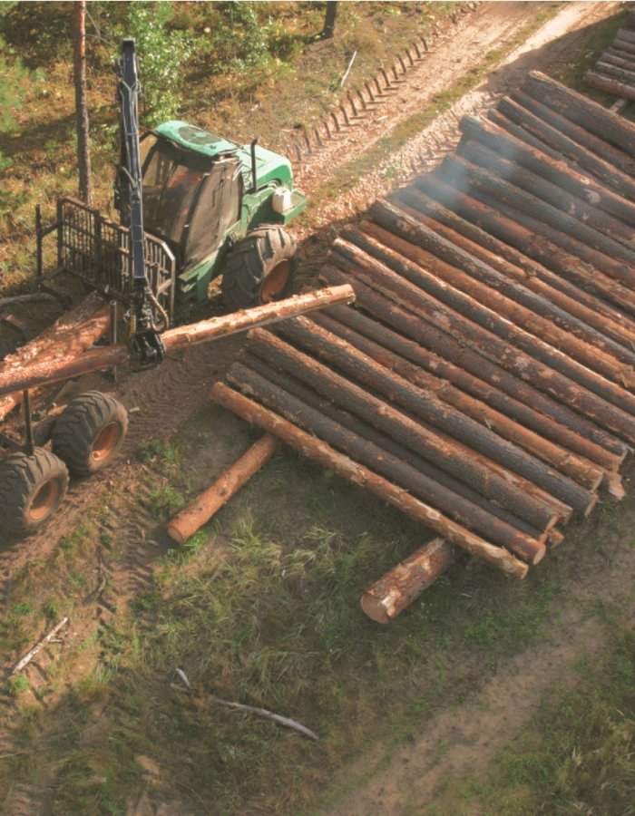 Timber Sales