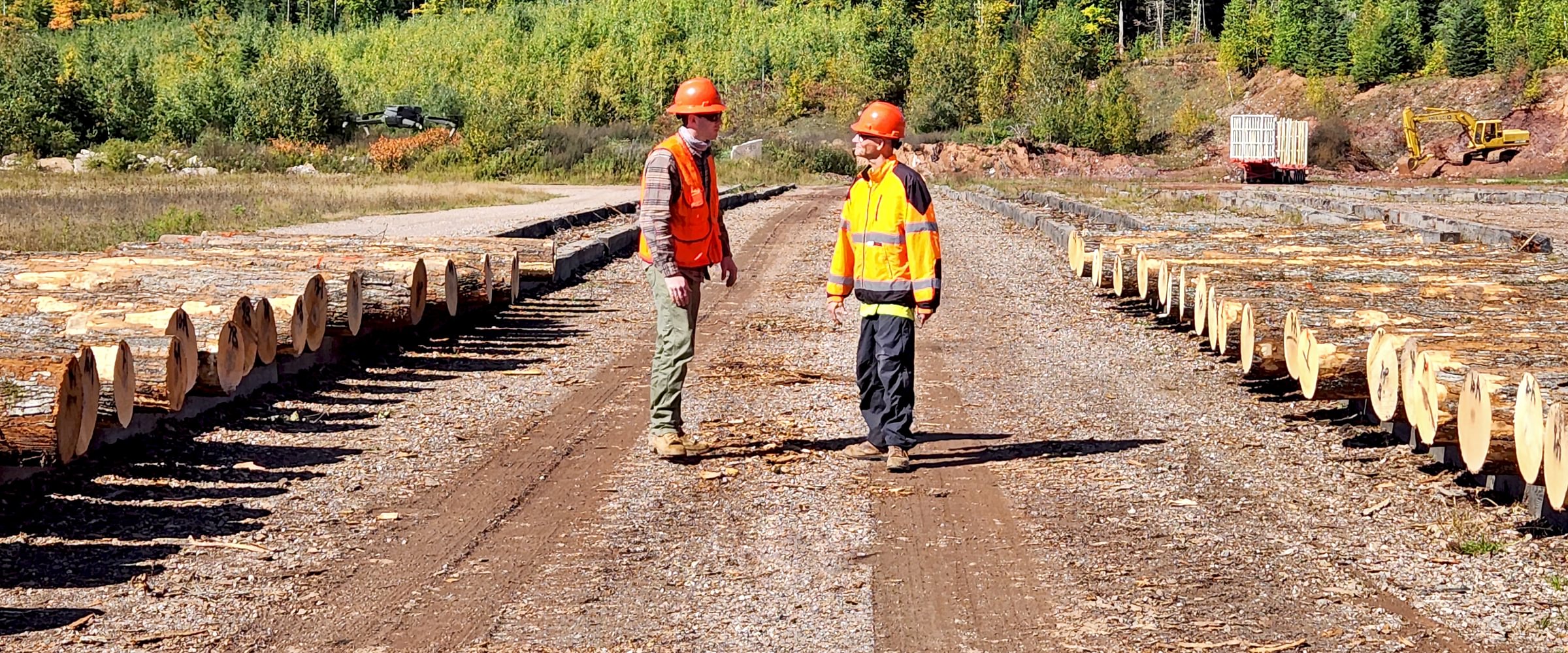 Two workers in hard hats and hi-vis gear talk on a gravel log yard between long rows of cut logs, with a drone and excavator beyond.