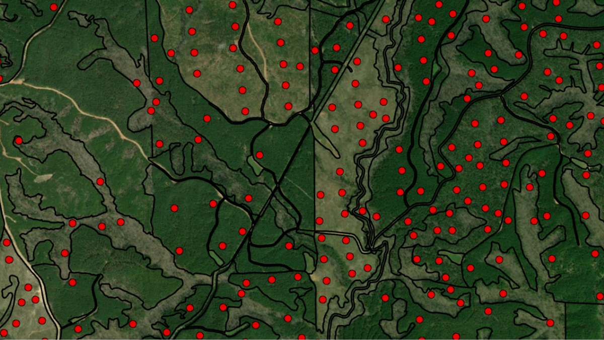 Timberinventory NEWS