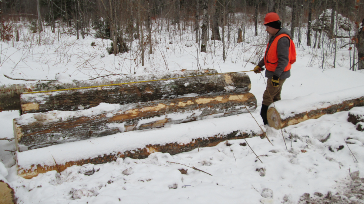 Winterlogging NEWS