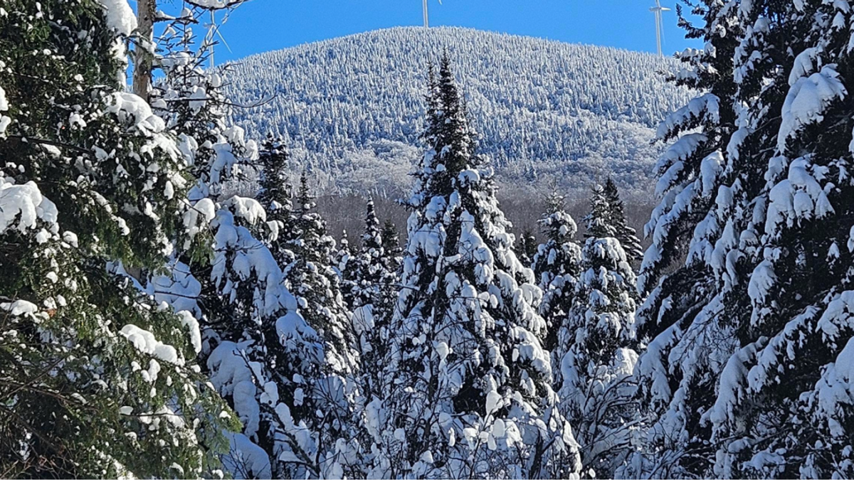Wintermanagement NEWS