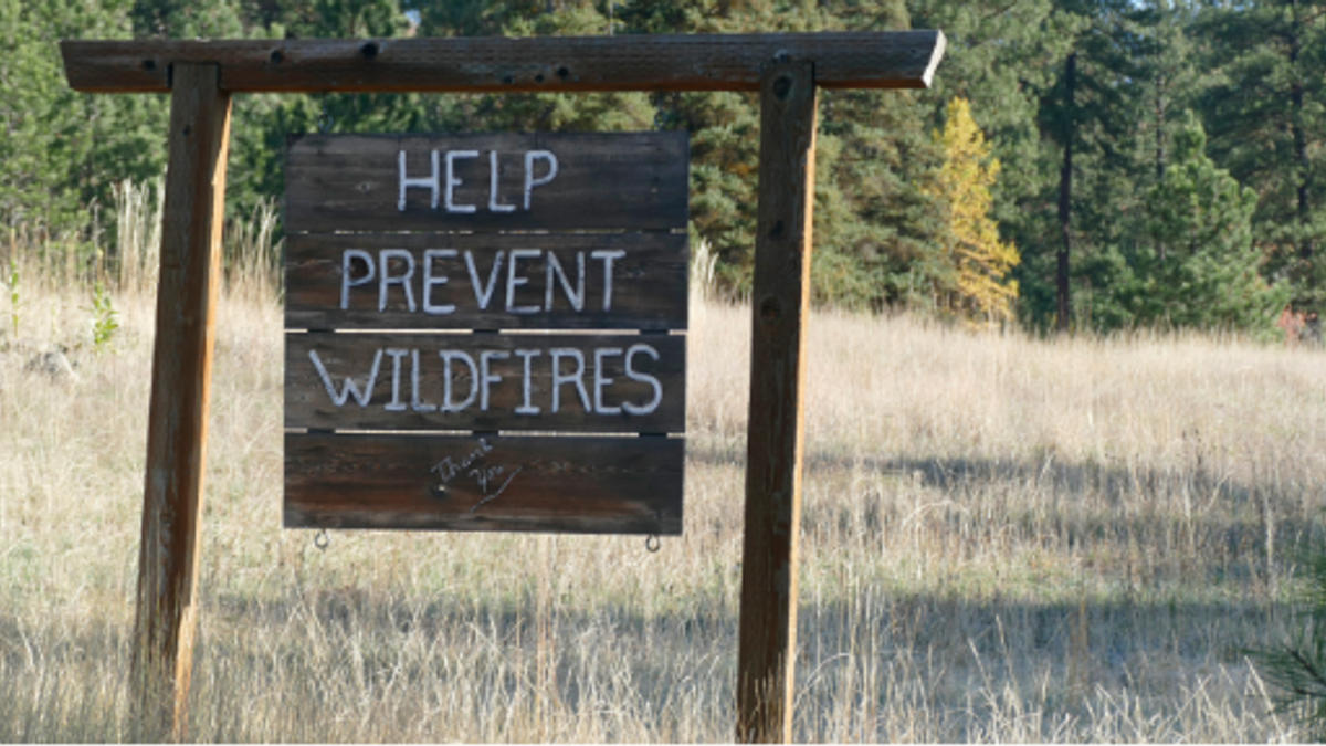 Wildfire news