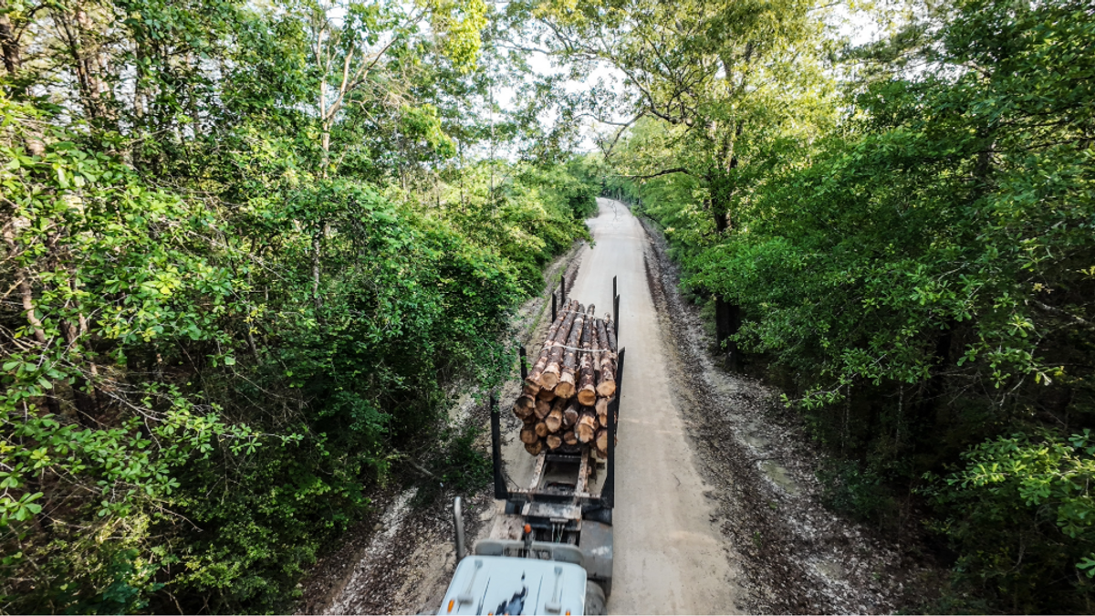 Workinglands NEWS