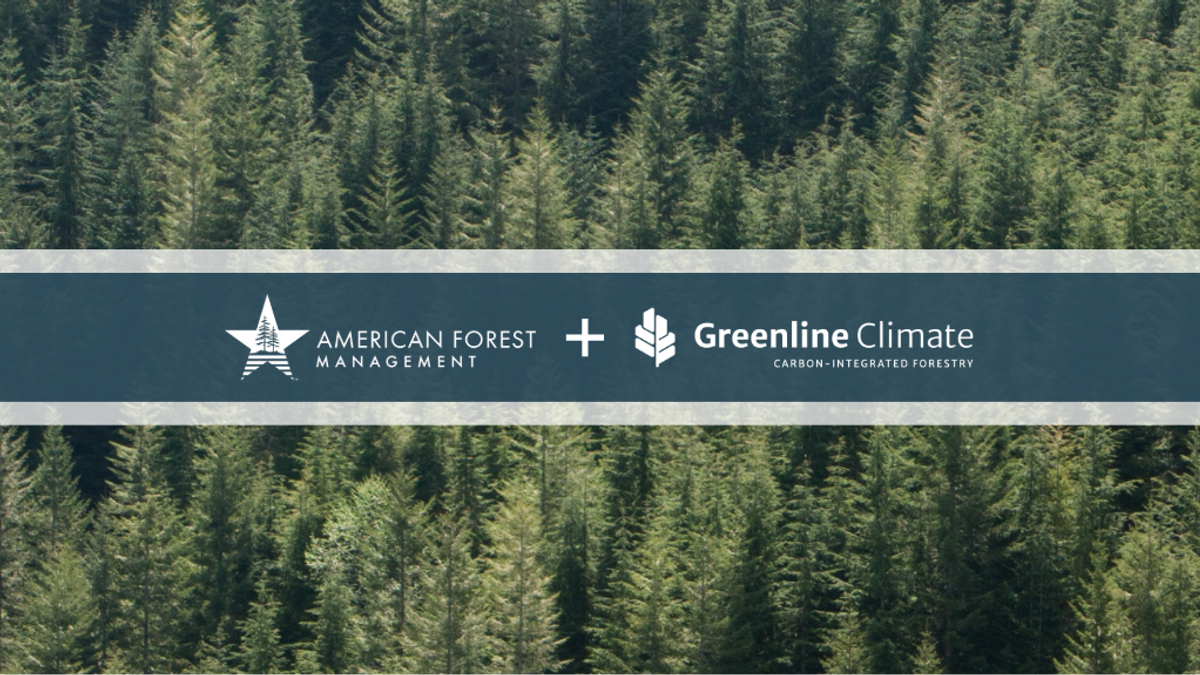 AFM Greenline NEWS