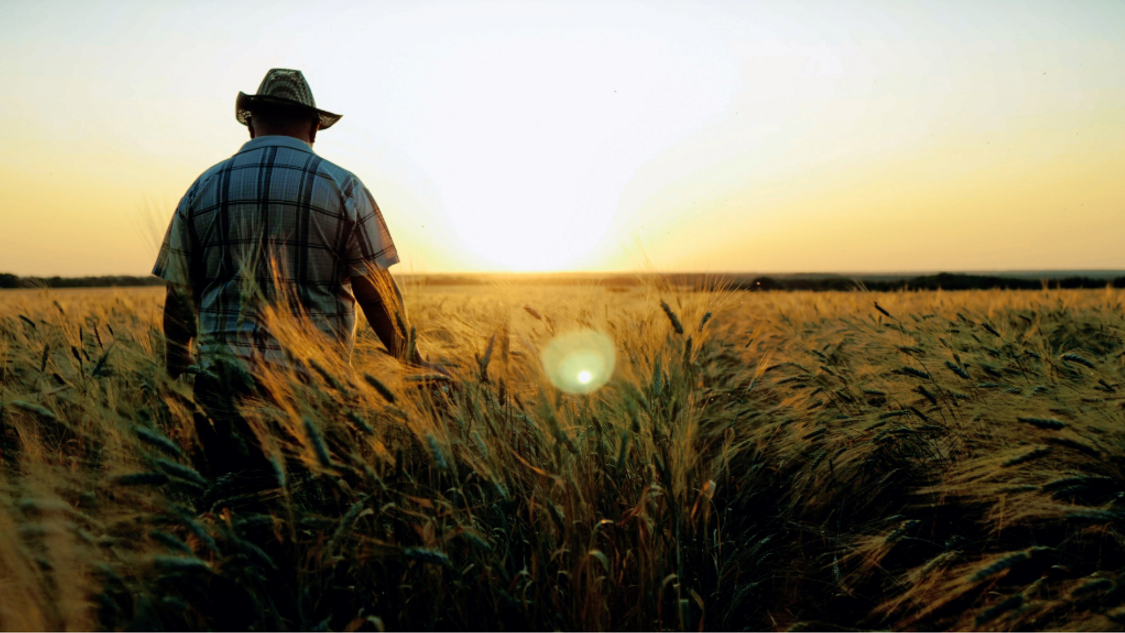 Farm Bill NEWS