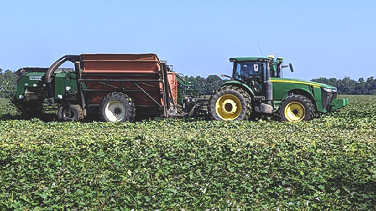 Oak III Farms