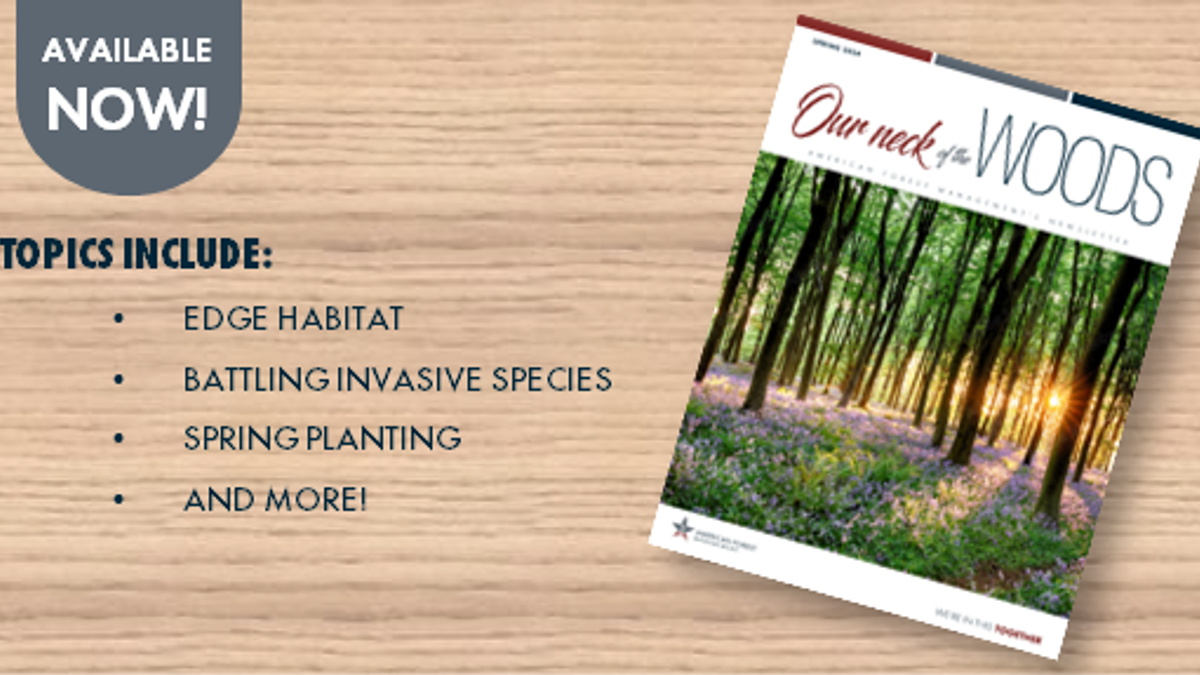Website Promo Spring2024
