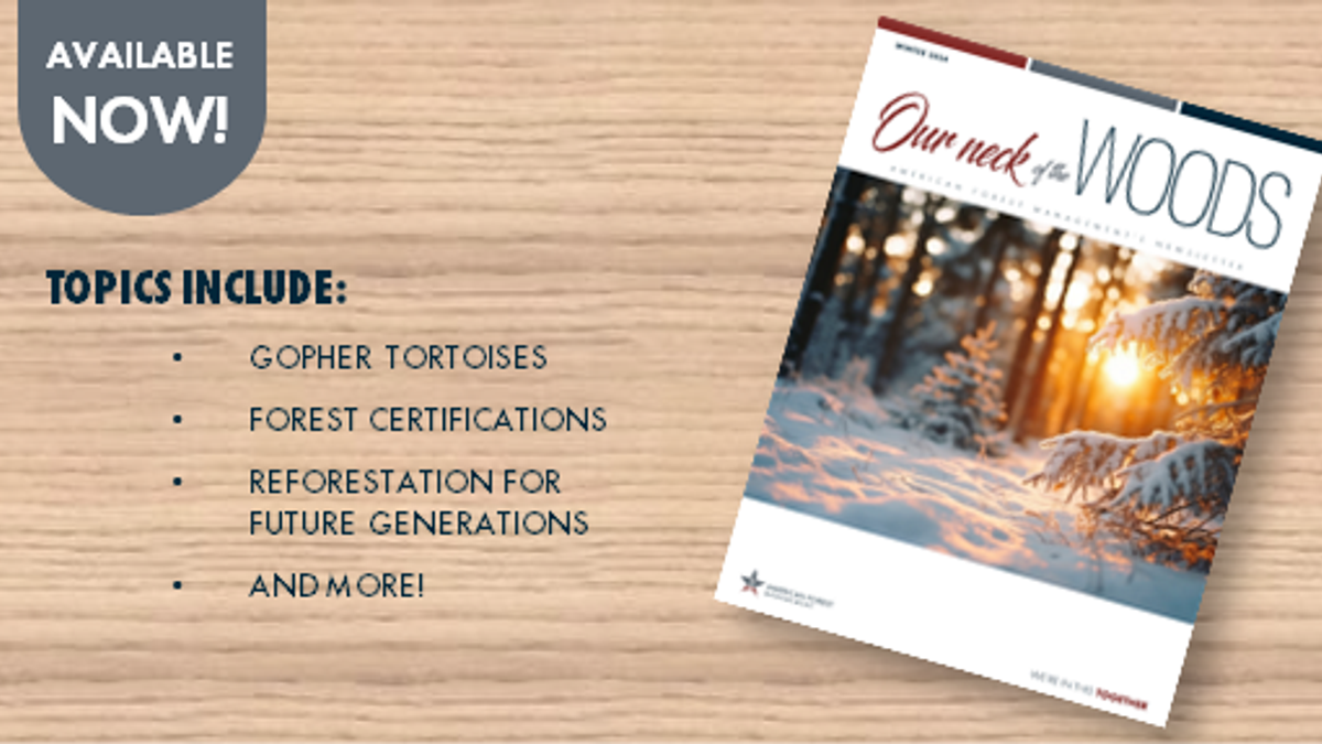 Website Promo Winter2