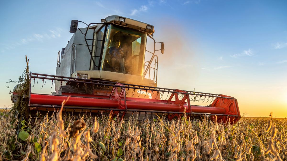 Commoditycrops news 2