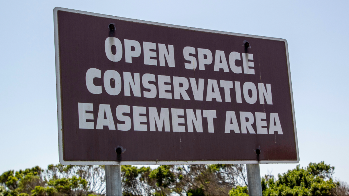 Easements NEWS