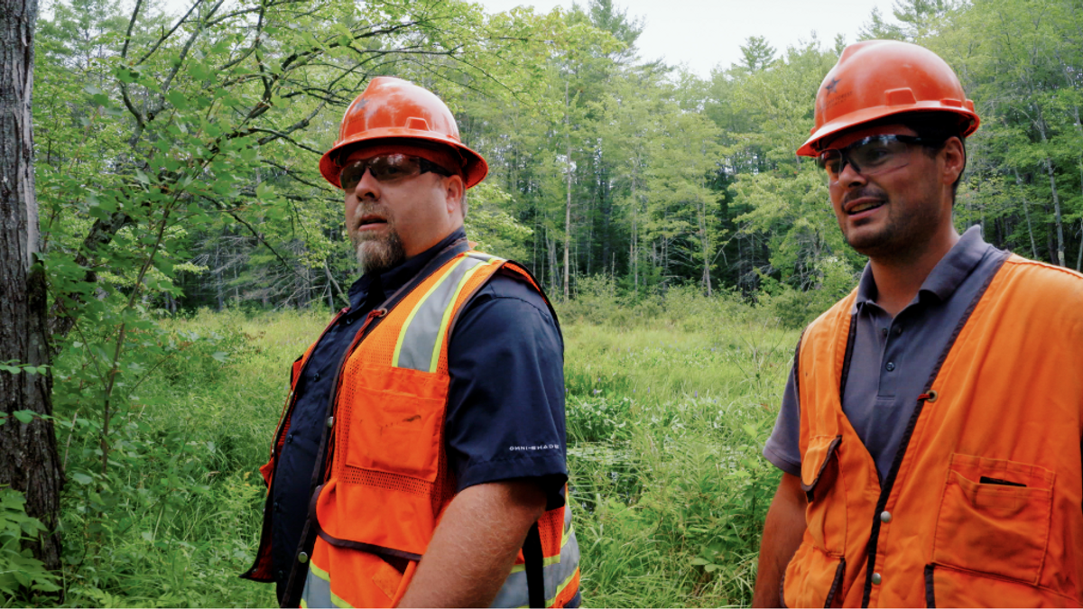Forestersvest NEWS