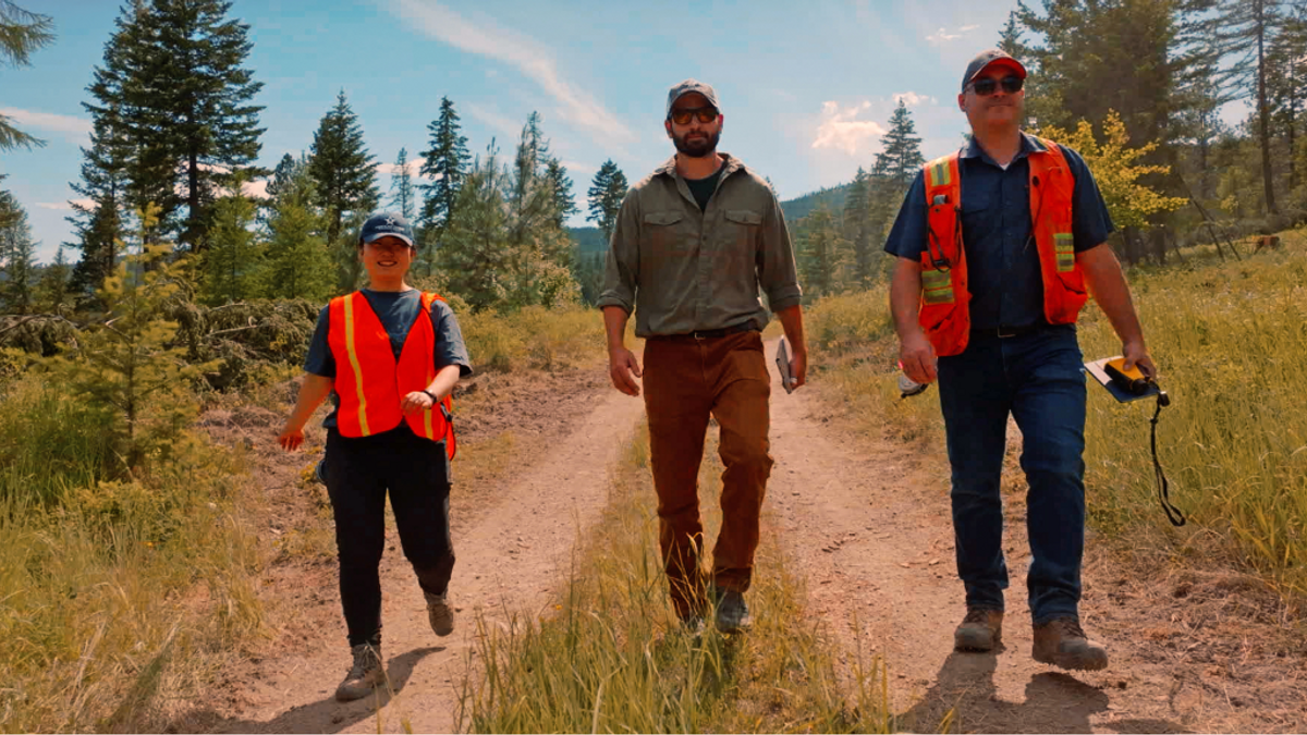 Forestmanagement NEWS