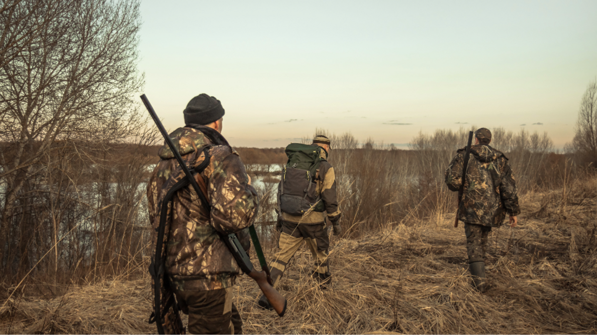 Huntingmisconceptions NEWS