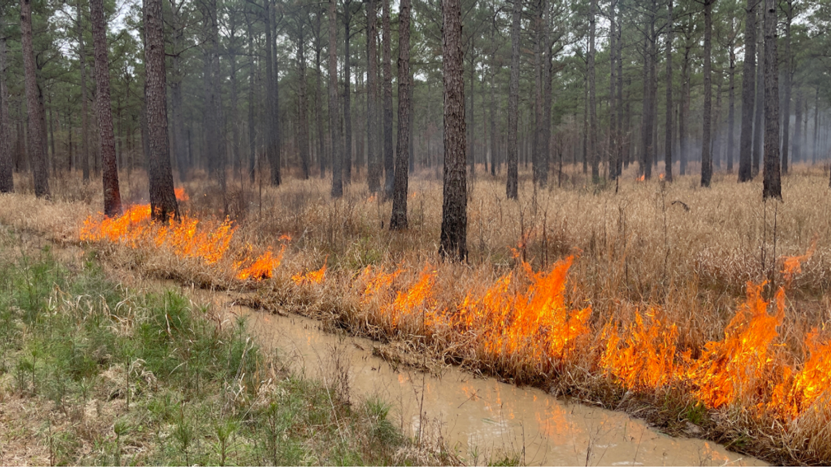 Prescribedburning NEWS
