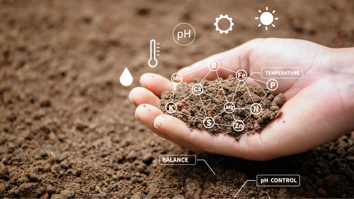 Soilsample NEWS