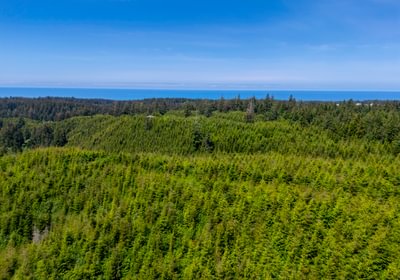Ocean View 5