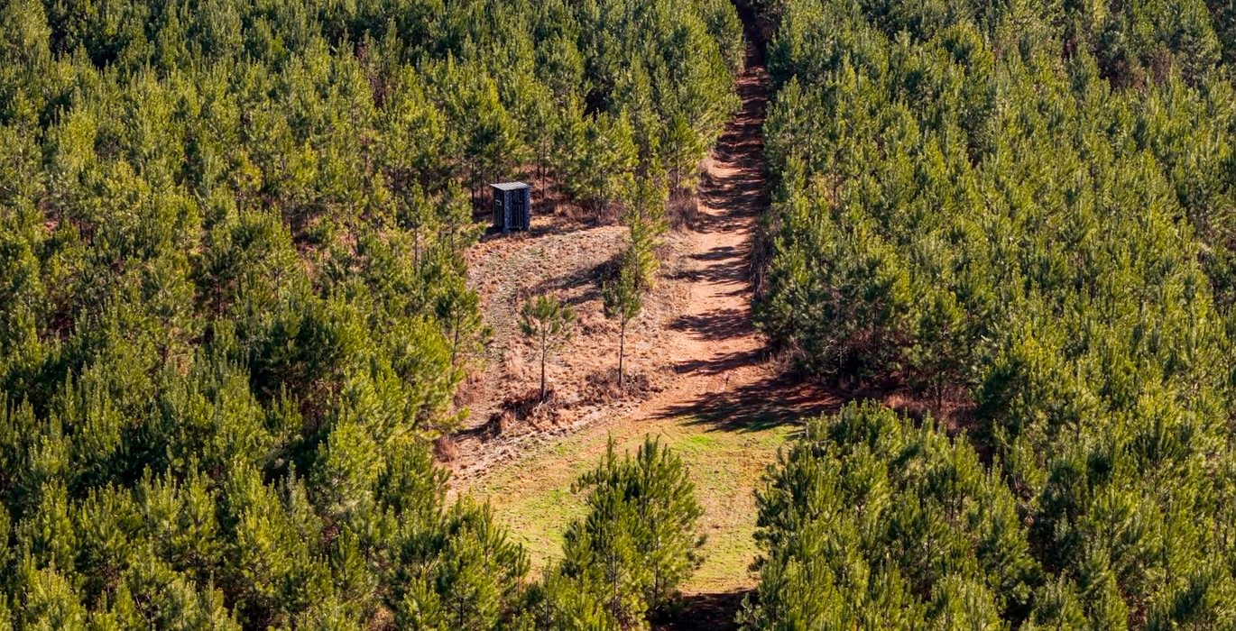 AFM Tallapoosa Timberlands Photo 16 1