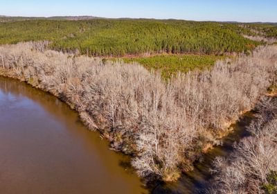 AFM Tallapoosa Timberlands Photo 10 1