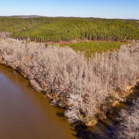 Tallapoosa Timberlands