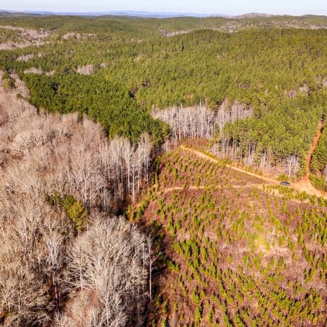 Tallapoosa Timberlands