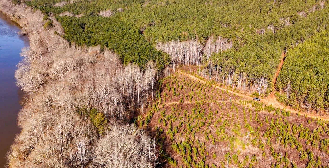 AFM Tallapoosa Timberlands Photo 11 1