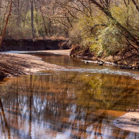 Tallapoosa Timberlands