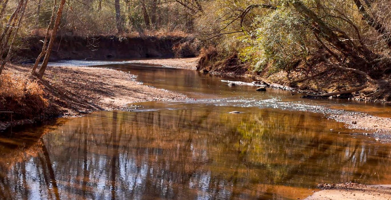 AFM Tallapoosa Timberlands Photo 12 1