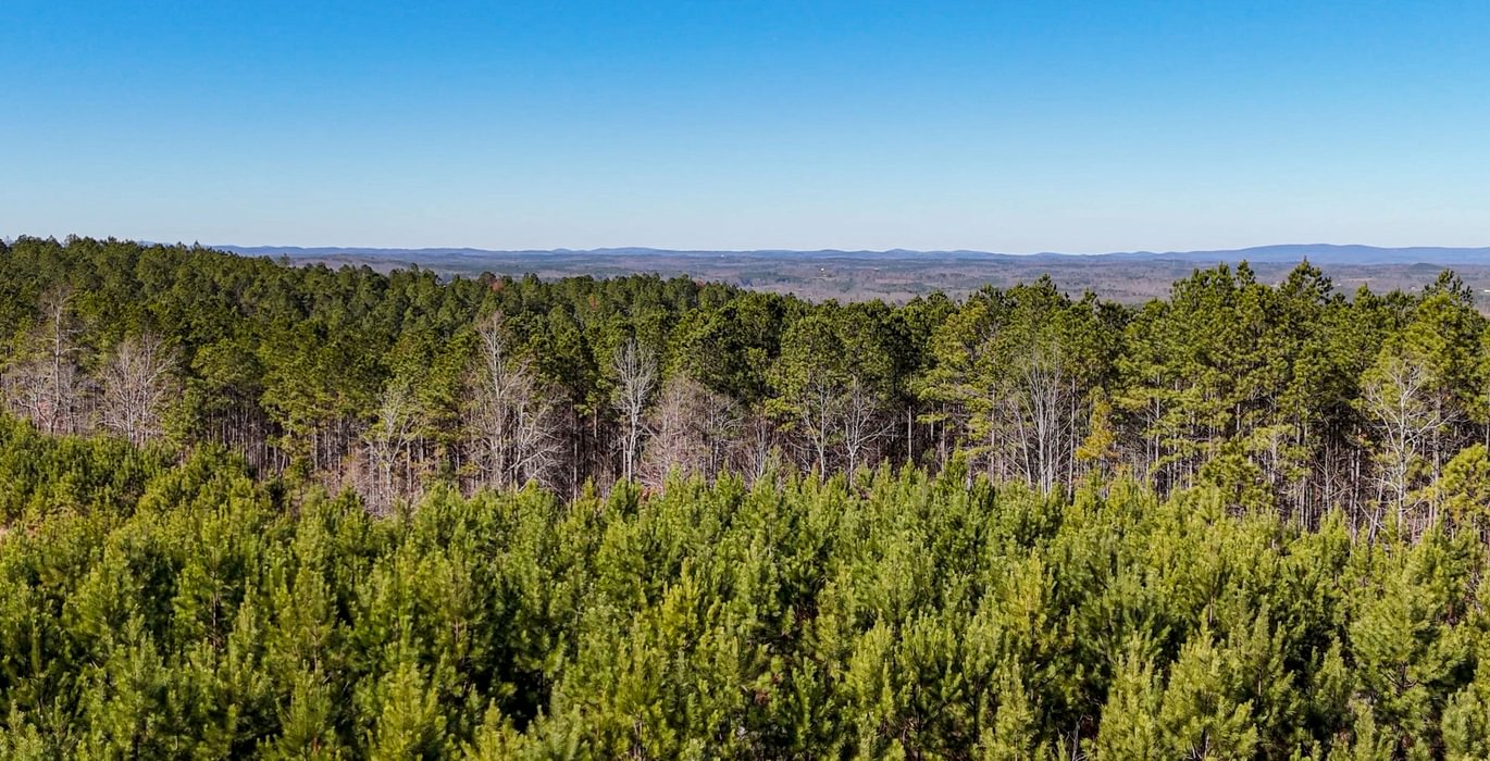 AFM Tallapoosa Timberlands Photo 45 1