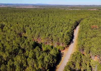 AFM Tallapoosa Timberlands Photo 48 1