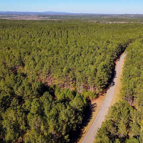 Tallapoosa Timberlands