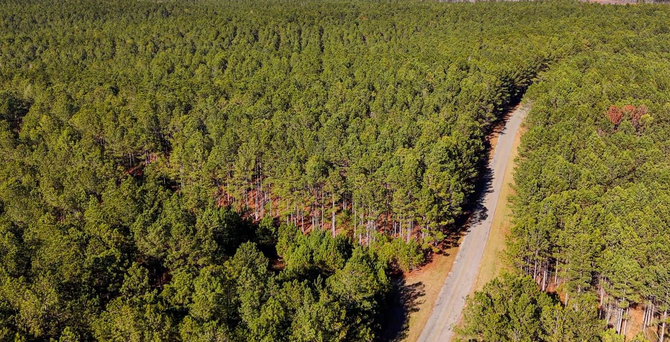 AFM Tallapoosa Timberlands Photo 48 1