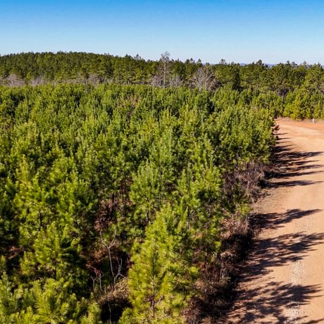 Tallapoosa Timberlands