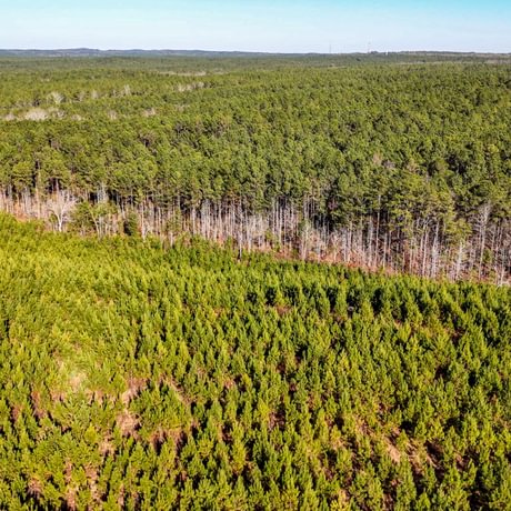 Tallapoosa Timberlands