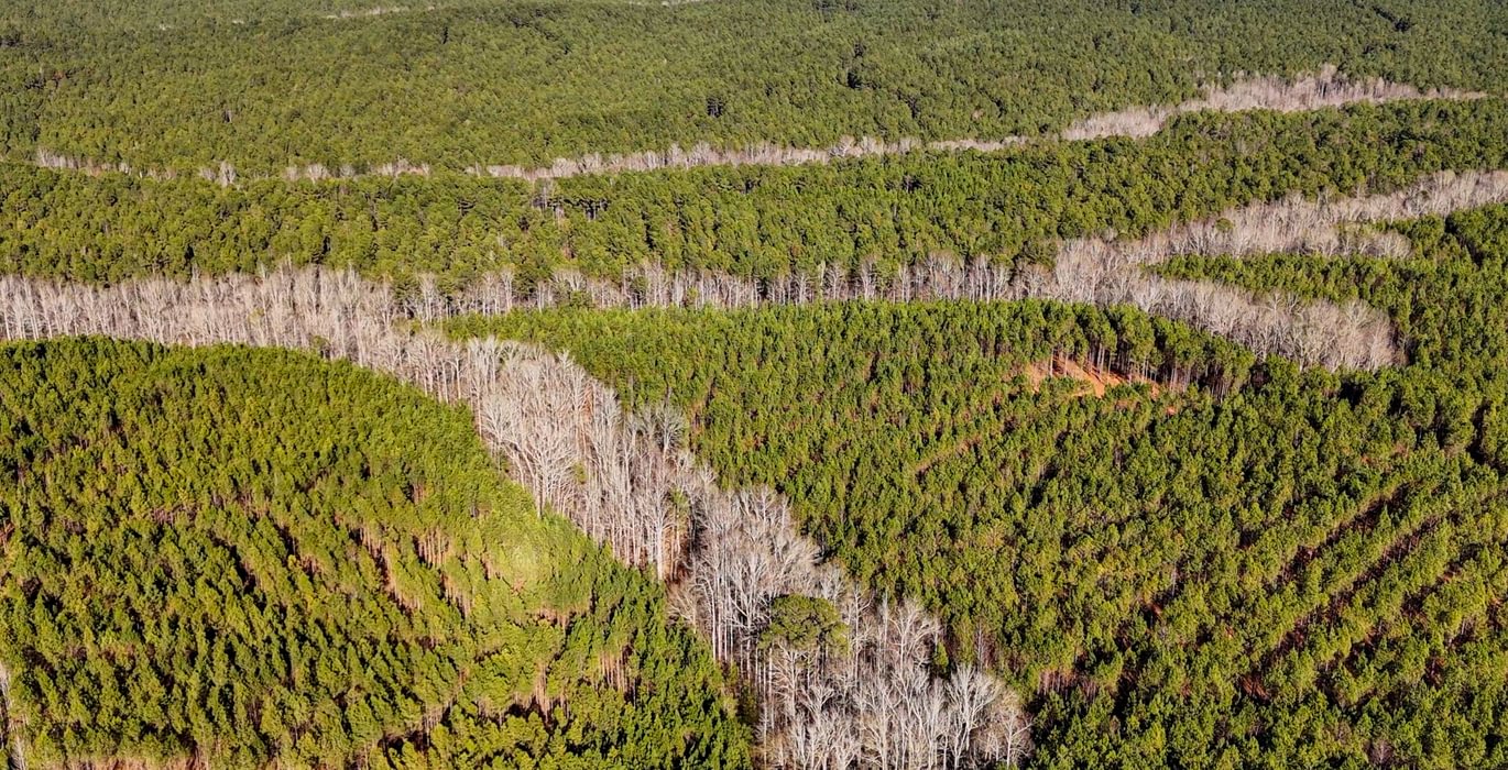 AFM Tallapoosa Timberlands Photo 55 1