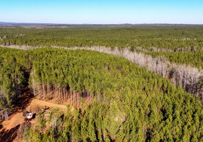 AFM Tallapoosa Timberlands Photo 51 1