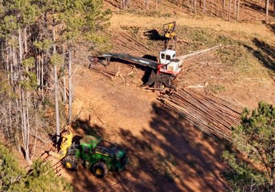 AFM Tallapoosa Timberlands Photo 52 1