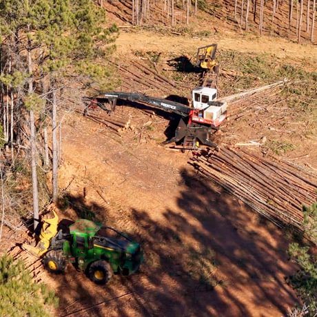 Tallapoosa Timberlands