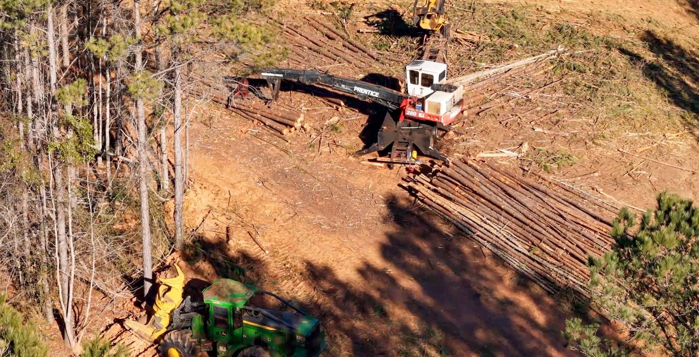 AFM Tallapoosa Timberlands Photo 52 1