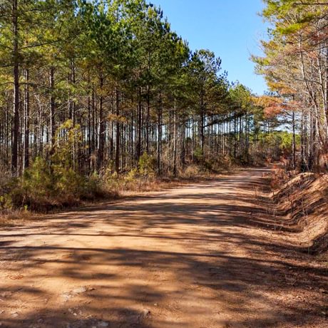 Tallapoosa Timberlands