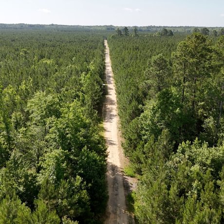 PENDING-Two Colonies Timberlands