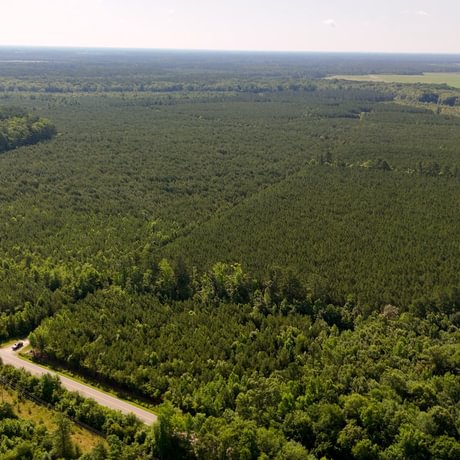 PENDING-Two Colonies Timberlands
