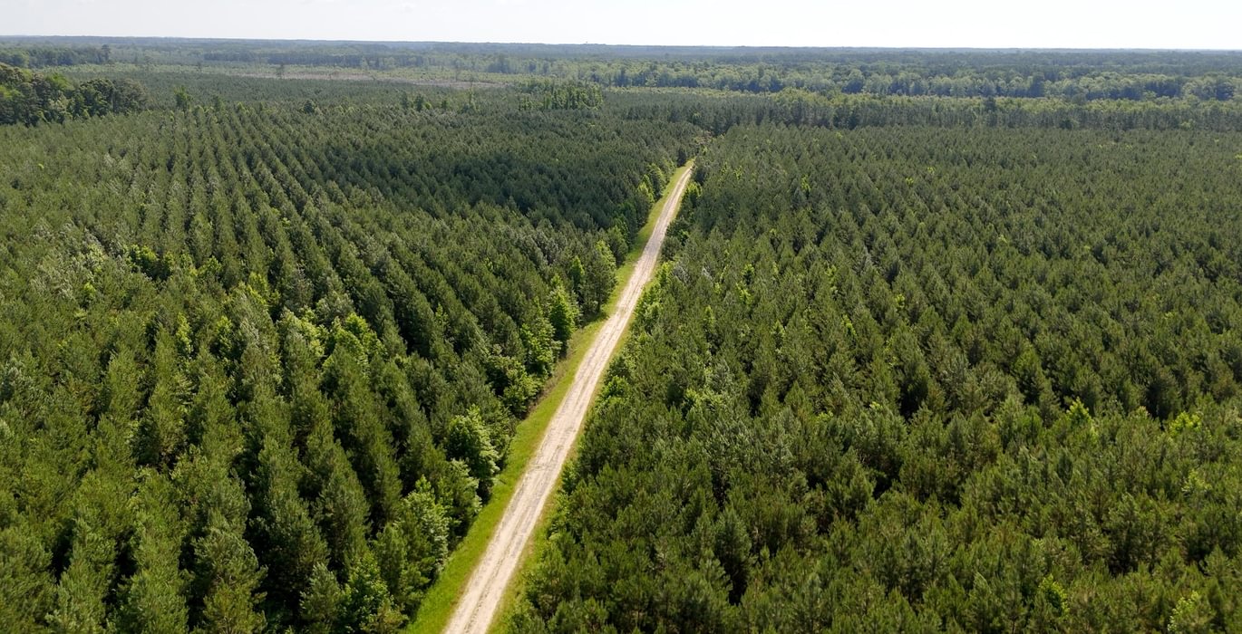 Chowan Drone Photo 6