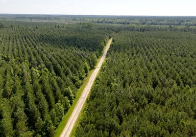 Chowan Drone Photo 6