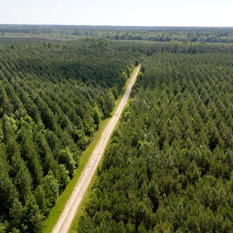 PENDING-Two Colonies Timberlands