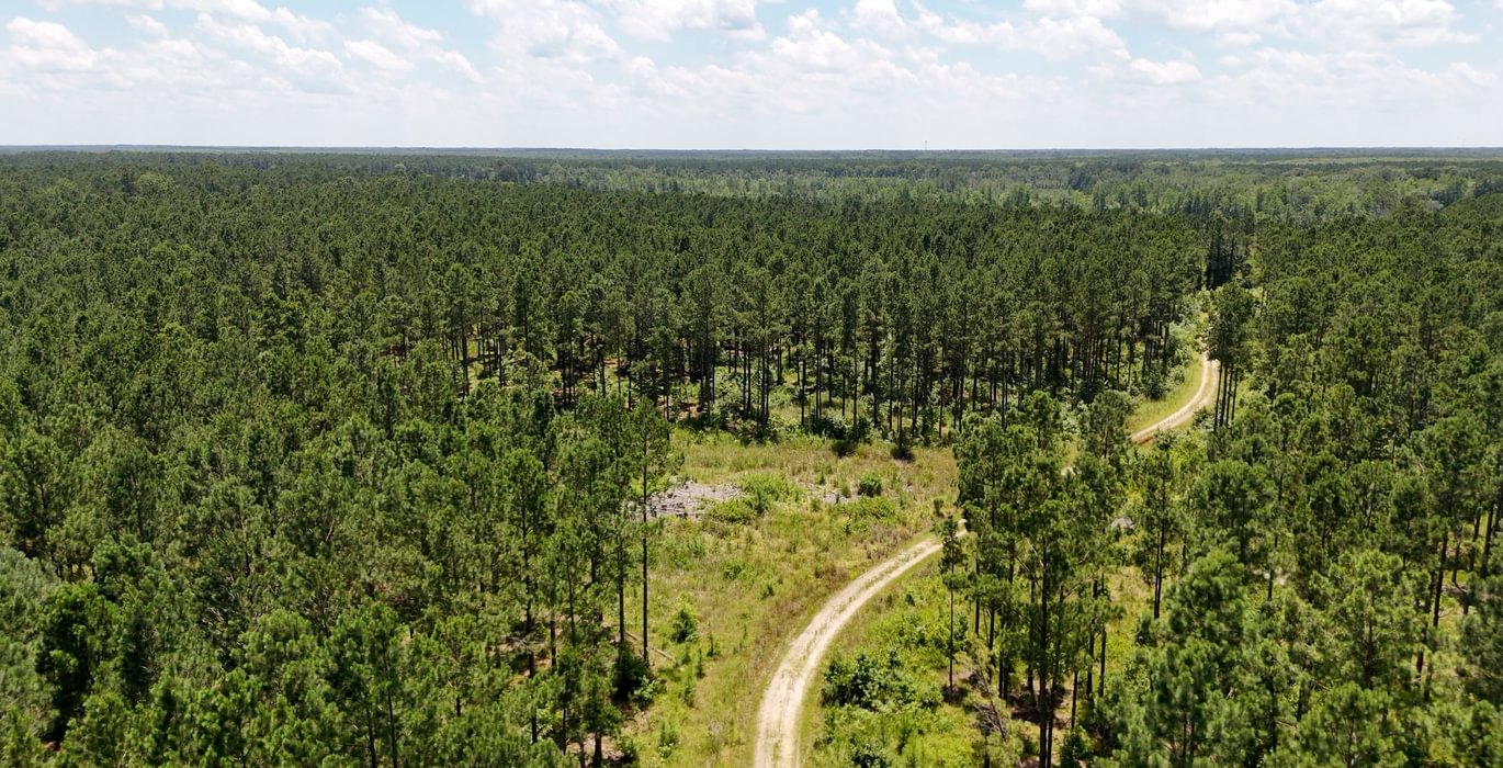 Chowan Drone Photo 1