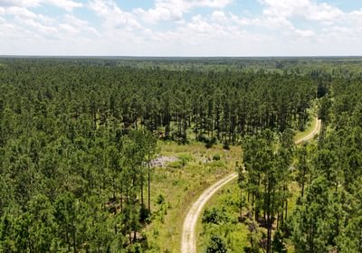Chowan Drone Photo 1