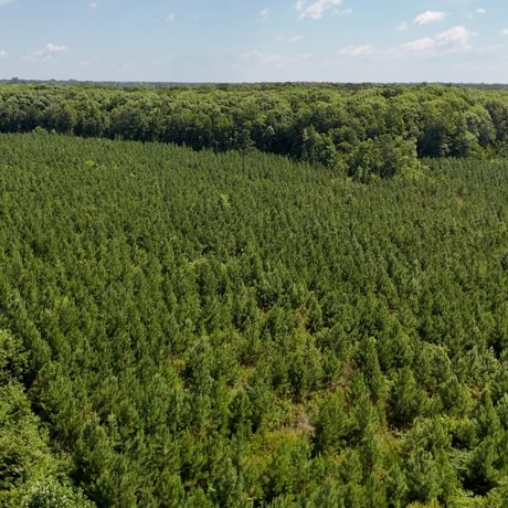 PENDING-Two Colonies Timberlands