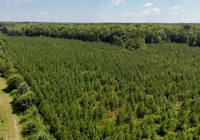 Chowan Drone Photo 10